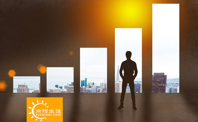 职业规划实操手册——职业定位的专家解读 