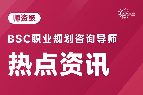 BSC咨询理论，具体内容指什么 