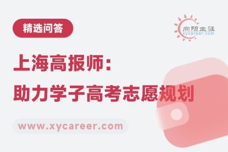 上海高报师：专业服务，助力学子高考志愿规划 