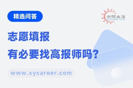 志愿填报有必要找高报师吗 