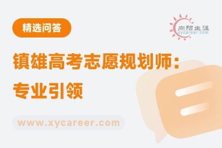 镇雄高考志愿规划师：专业引领，助力学子迈向理想大学 