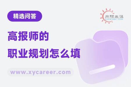 高报师的职业规划怎么填:打造未来职业蓝图