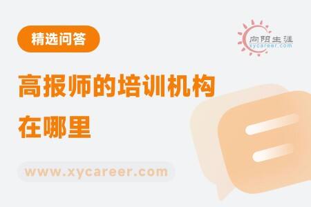 高报师的培训机构在哪里,怎么选?