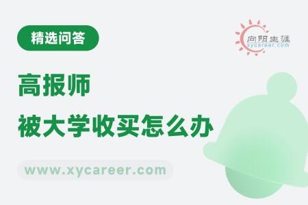 高报师被大学收买怎么办:风险与防范策略