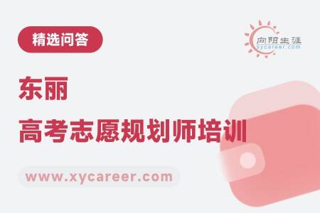 东丽高考志愿规划师培训:实战技巧,提升专业能力