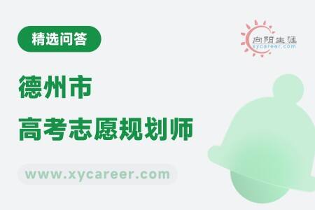 德州市高考志愿规划师:专业指导,让志愿更精准