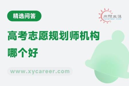高考志愿规划师机构哪个好:专业对比,选出最优