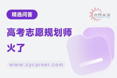 高考志愿规划师火了:为何火了,未来前景