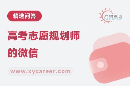 高考志愿規(guī)劃師的微信：一對(duì)一指導(dǎo)盡在掌握 