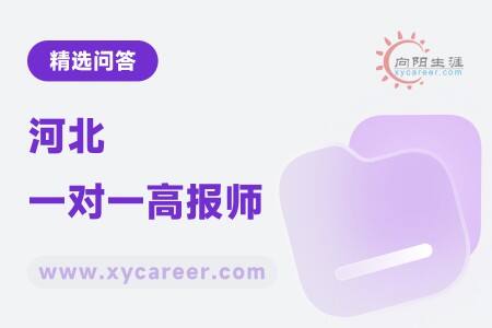河北一对一高报师:定制化服务助力考生
