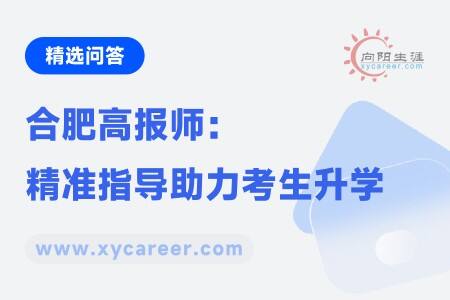 合肥高報師：精準(zhǔn)指導(dǎo)助力考生升學(xué) 