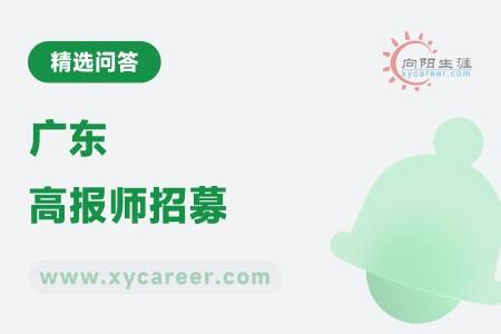 广东高报师招募:加入升学规划团队