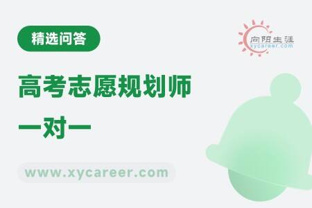 高考志愿规划师一对一：精准定制升学路径 