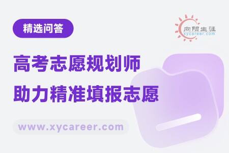 高考志愿规划师：助力高考学子精准填报志愿 