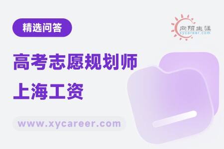 高考志愿规划师上海工资：透视行业薪酬水平 