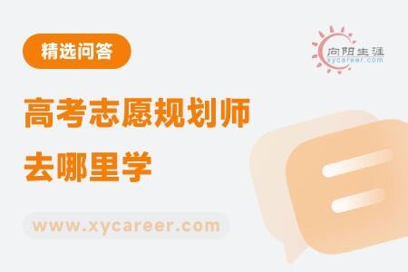 高考志愿规划师去哪里学：一站式学习平台助力职业启航 