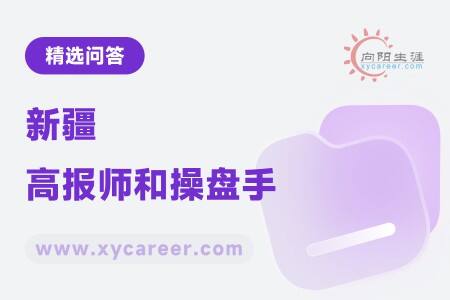 新疆高报师和操盘手：协同合作，共筑高考志愿填报新篇 