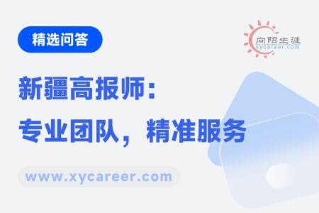 新疆高报师：专业团队，精准服务，助力考生实现大学梦 