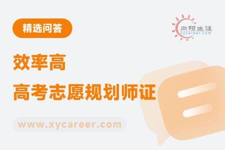 效率高高考志愿规划师证：快速掌握职业规划精髓 