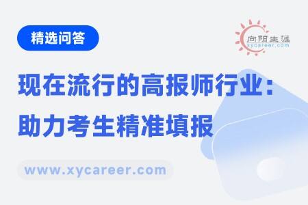 现在流行的高报师行业：专业指导助力考生精准填报 