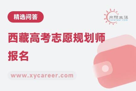 西藏高考志愿规划师报名：助力高原学子未来 