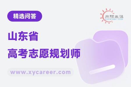 山東省高考志愿規(guī)劃師：精準(zhǔn)規(guī)劃，助力學(xué)子圓夢名校 