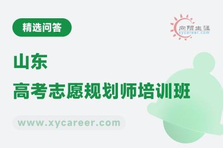 山東高考志愿規(guī)劃師培訓(xùn)班：名師授課，實(shí)戰(zhàn)演練 