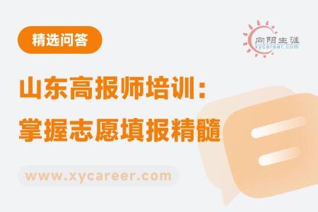 山東高報師培訓(xùn)：專業(yè)引領(lǐng)，掌握志愿填報精髓 
