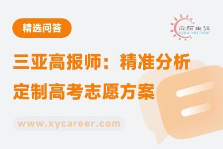三亚高报师：精准分析，定制高考志愿方案 