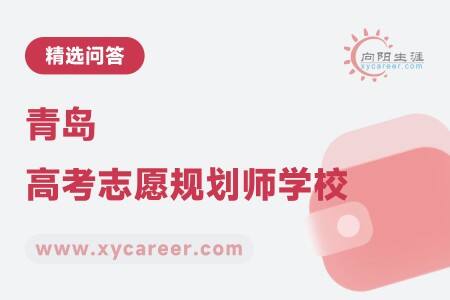 青岛高考志愿规划师学校：专业教育，打造精英团队 