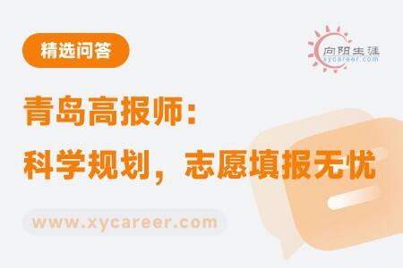 青岛高报师：科学规划，志愿填报无忧 