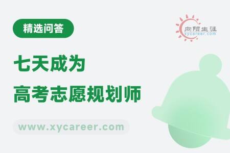 七天成为高考志愿规划师：快速入门，掌握关键技能 