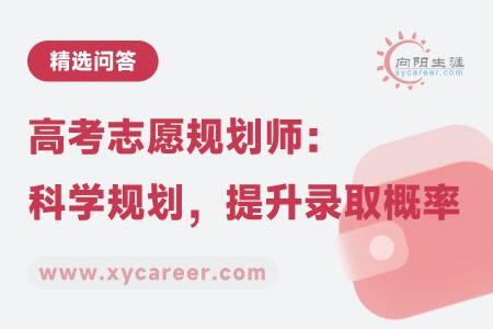 高考志愿规划师：科学规划，提升录取概率 