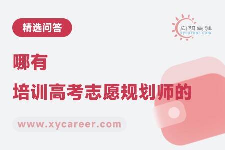 哪有培训高考志愿规划师的：权威专业，助力职业发展 