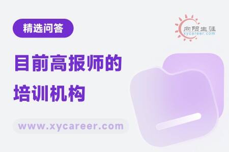目前高报师的培训机构：专业权威，助力职业发展 