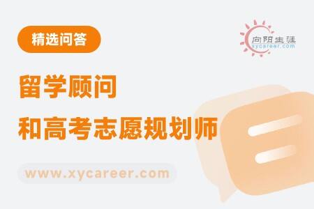 留学顾问和高考志愿规划师：多元发展，助力学生未来 