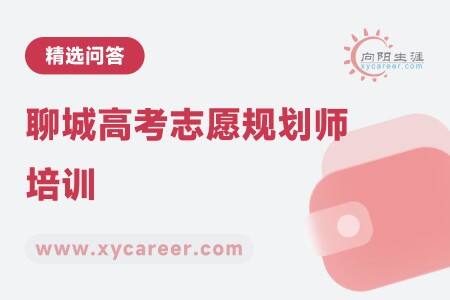 聊城高考志愿规划师培训：专业指导，成就职业梦想 