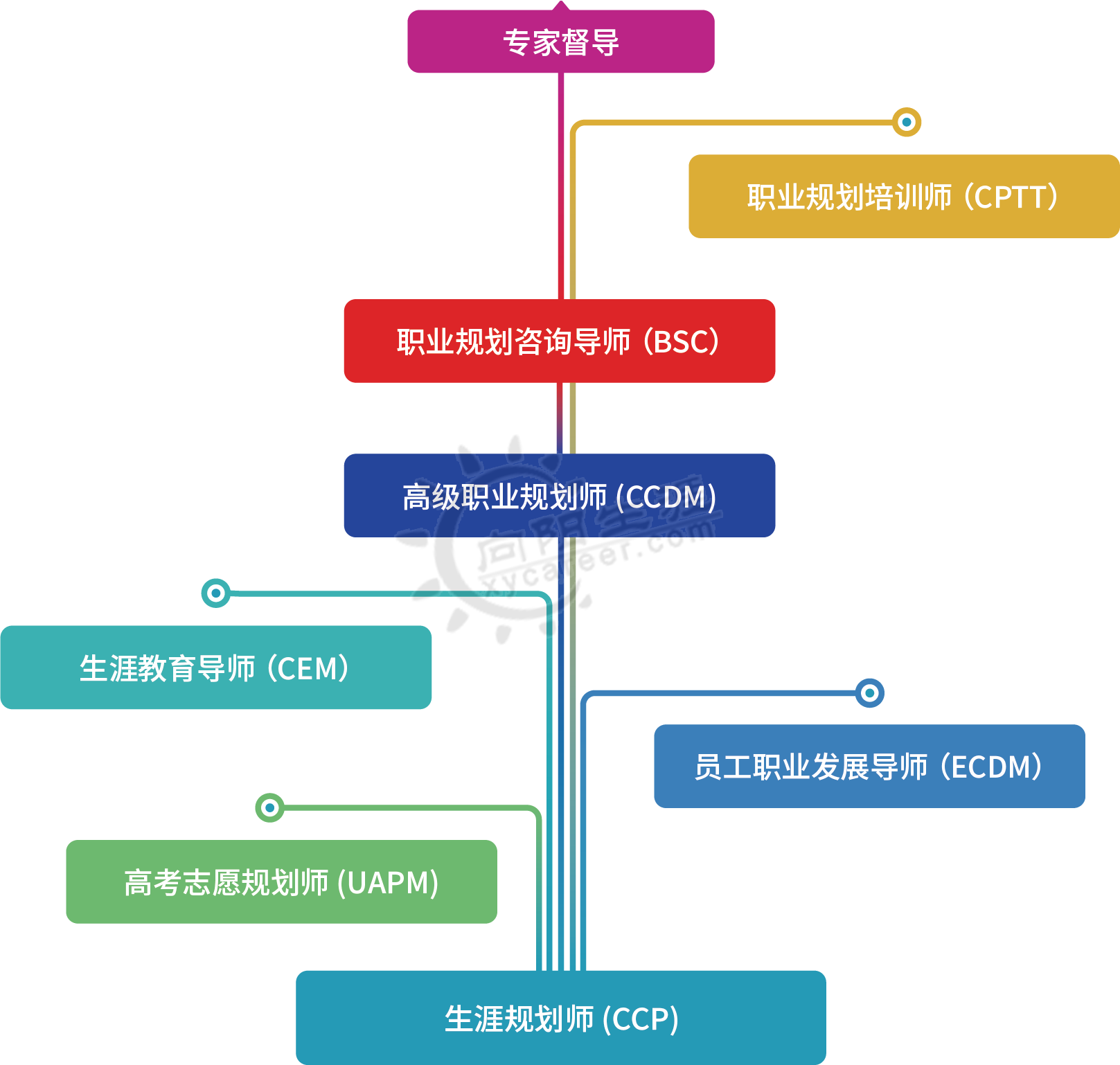 向阳生涯职业规划专业进阶体系