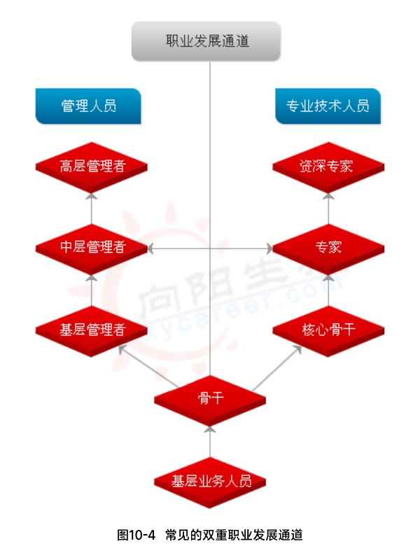 常见的双重职业发展通道