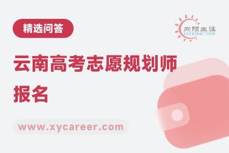 云南高考志愿规划师报名