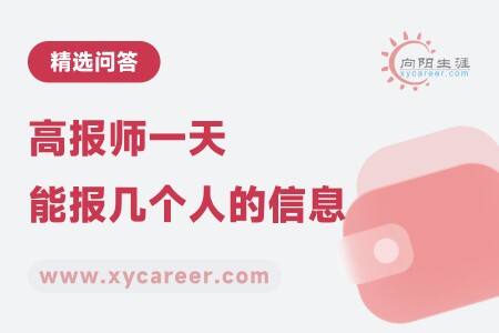 高报师一天能报几个人的信息