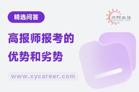 高报师报考的优势和劣势