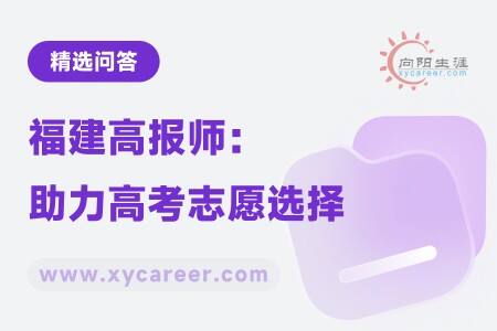 福建高报师