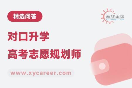 对口升学高考志愿规划师