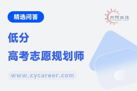 低分高考志愿规划师