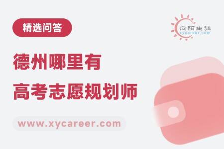 德州哪里有高考志愿规划师