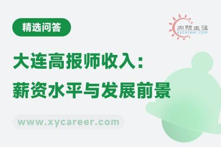 大连高报师收入