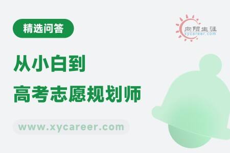 从小白到高考志愿规划师