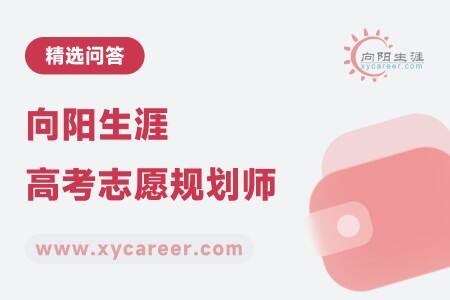 向阳生涯高考志愿规划师