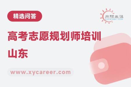 高考志愿规划师培训山东
